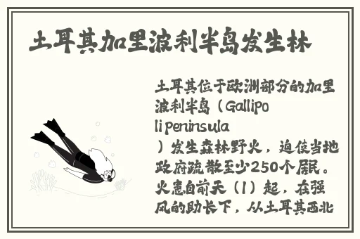 蜜芽737.CNN老狼
